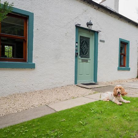 Tig Cottage - A Rural, Quirky, Pet Friendly 2 Bedroom Cottage Near Ballantrae Kültér fotó