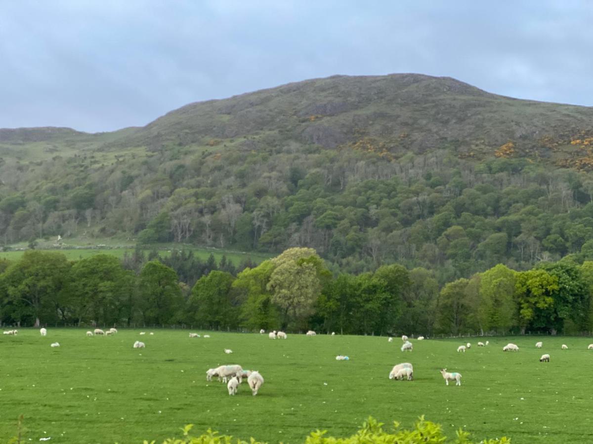 Tig Cottage - A Rural, Quirky, Pet Friendly 2 Bedroom Cottage Near Ballantrae Kültér fotó