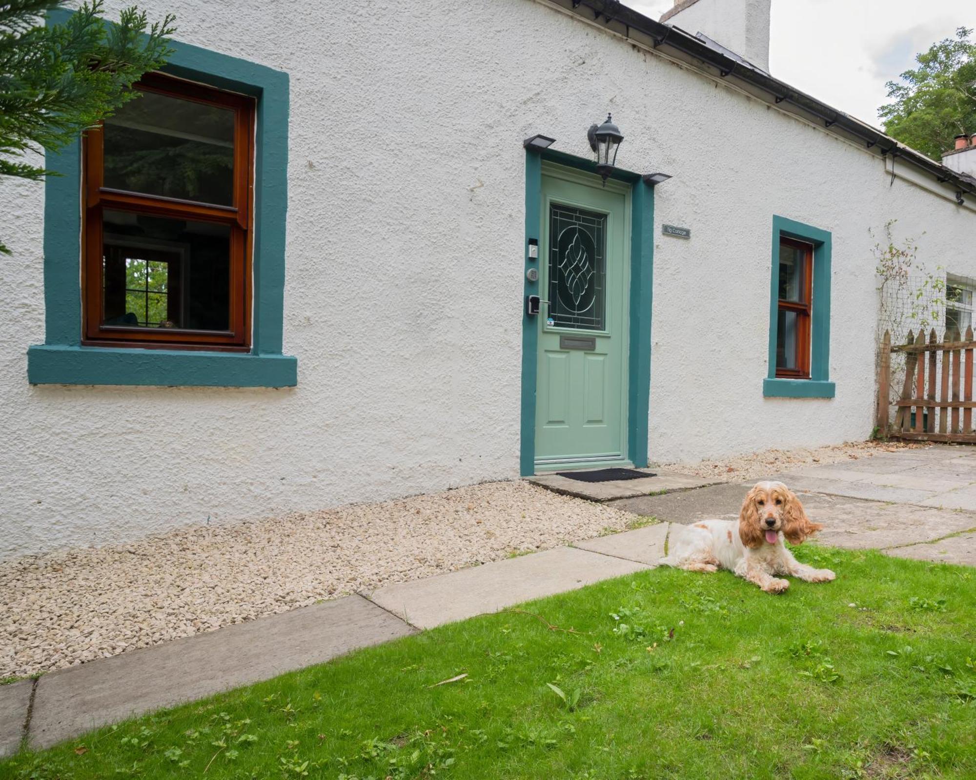 Tig Cottage - A Rural, Quirky, Pet Friendly 2 Bedroom Cottage Near Ballantrae Kültér fotó